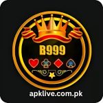 BH999 Game