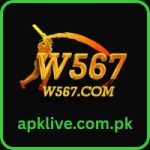 W567 Game