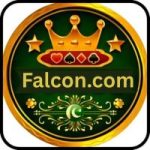 Falcon Game