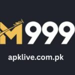 M999 Game